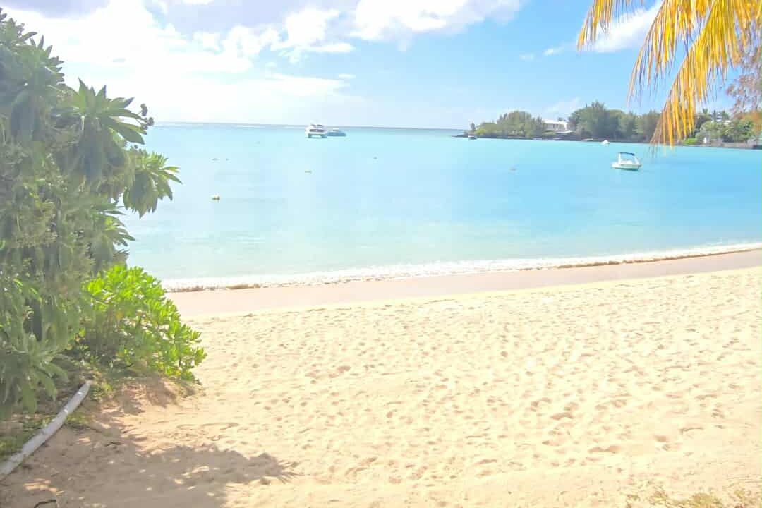 cf67661c-c7d5-4fe2-b45c-1f5f048309a4